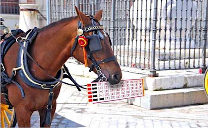 Have you got these lottery prize blinkers on that stops you winning?