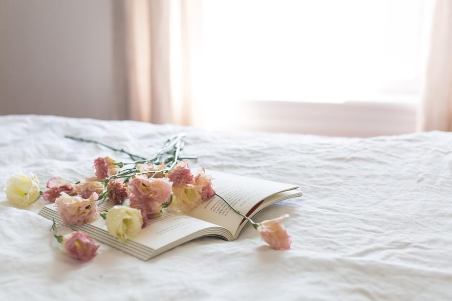daylight-on-book-blooms_925x.jpg