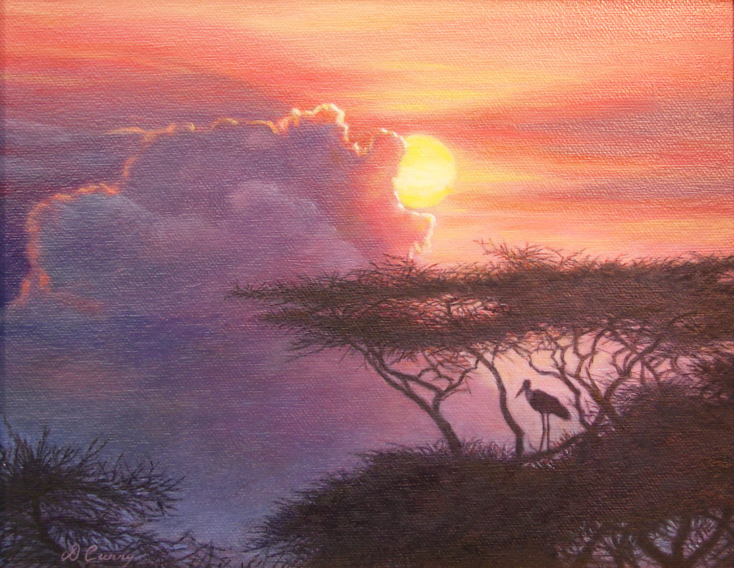 Sunset_Sentinal_web.jpg