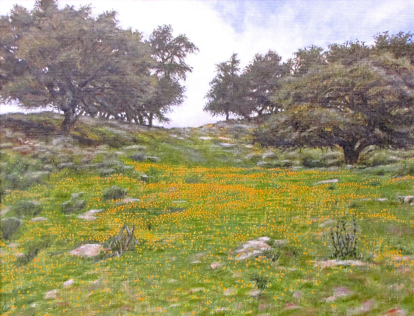 Pismo_Preserve_web.jpg