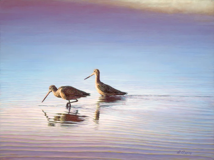 godwits2010_web.jpg