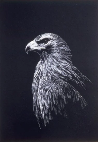 golden_eagle.jpg