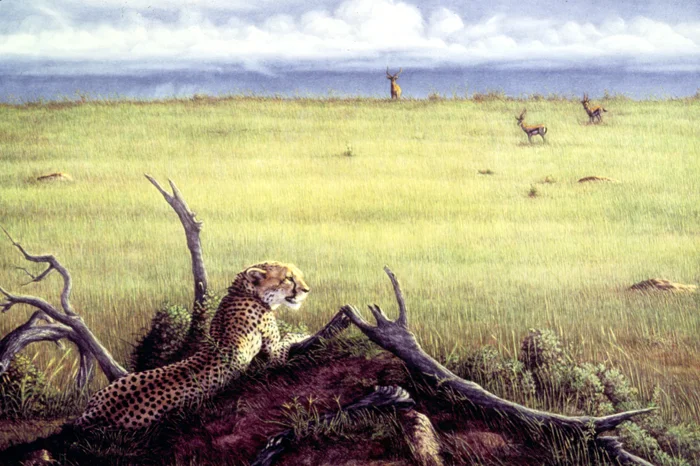 "On The Mara" by Dennis Curry