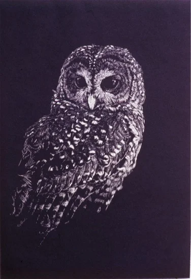 "Short Ear Owl" by Dennis Curry