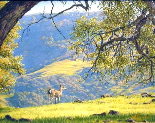 "Under The Oak" by Dennis Curry The coastal hills of California come to verdant life with winter rains after the dry brown months of summer.