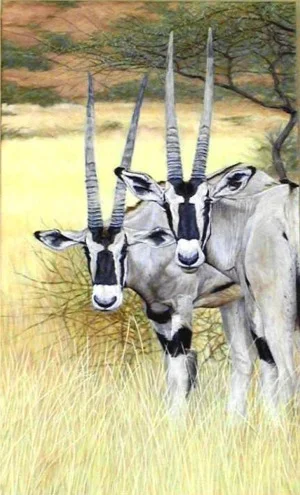 "African Masks" by Dennis Curry The distinctive markings and subtle coloration of the Beisa Oryx inspired me to paint this portrait of these East African antelope.