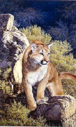 "American's Lion" by Dennis Curry