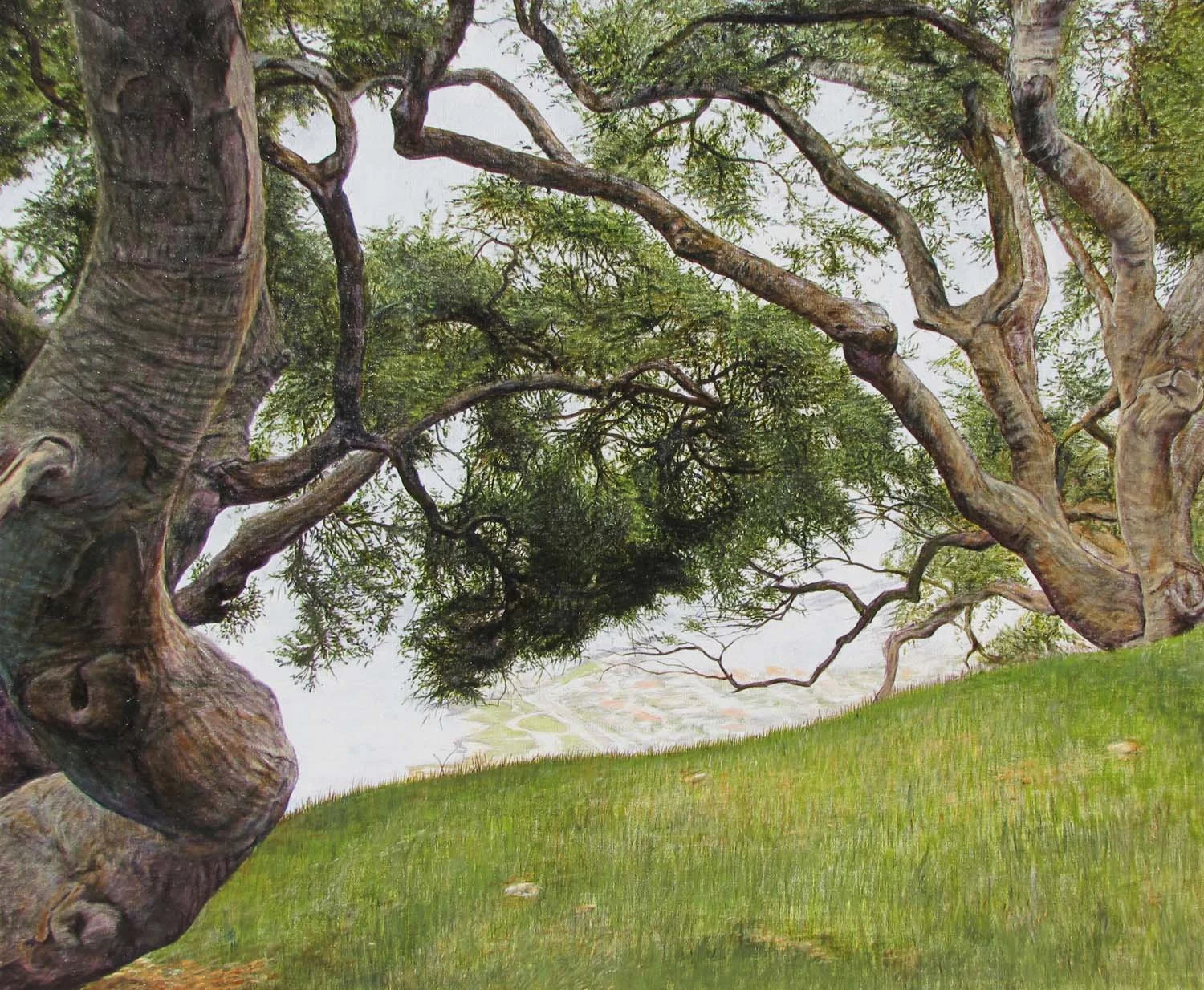 "Ancient Sentinels" by Dennis Curry