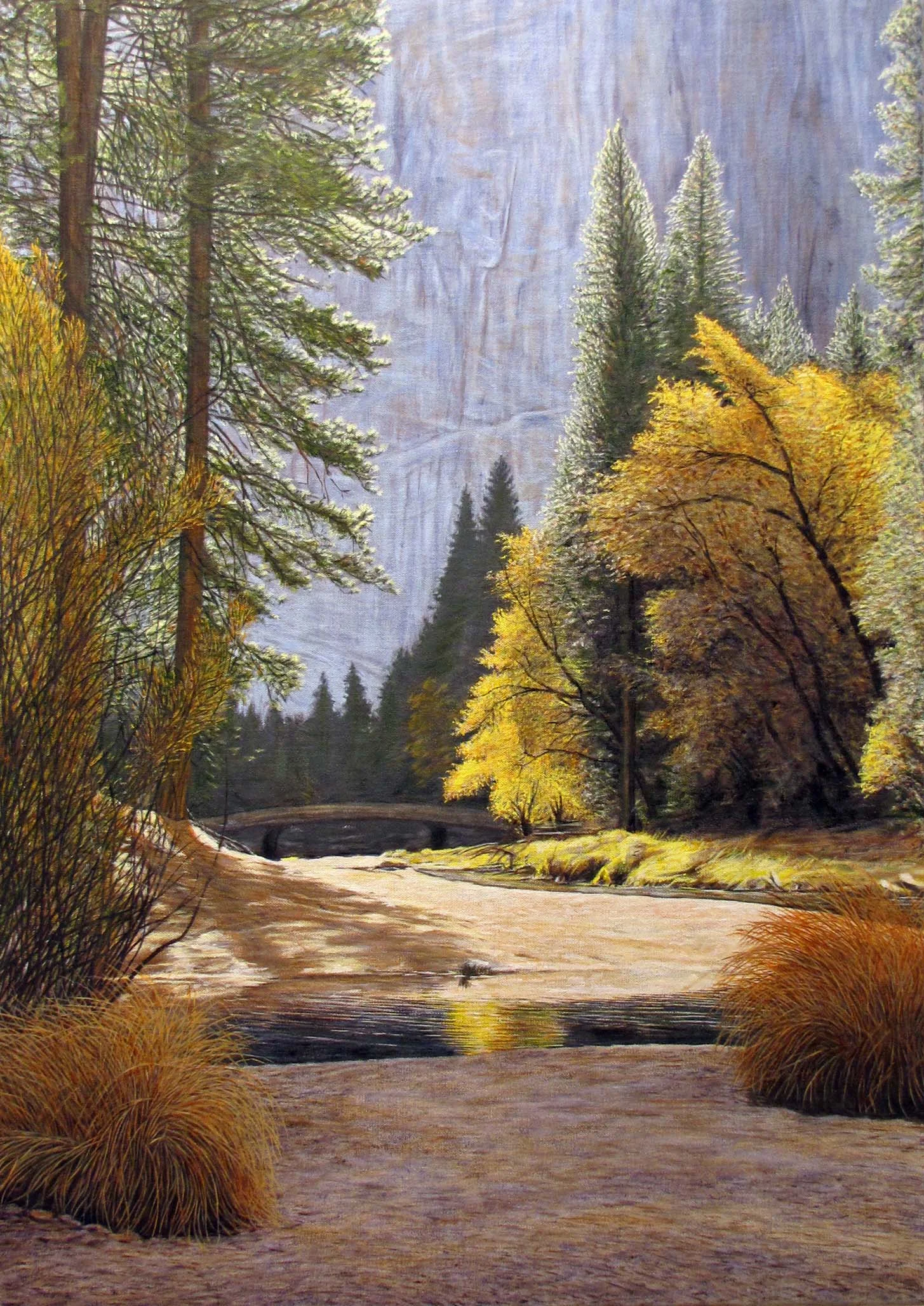 "Nature's Cathedral" by Dennis Curry