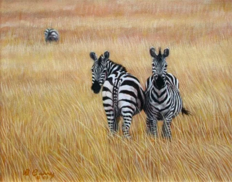 "Heads and Tails" by Dennis Curry In typical "I'll watch your back you watch mine" positioning these Grants zebra must always be on alert for predators. 