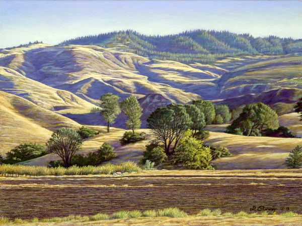 "Sedwich Reserve" by Dennis Curry Begun on location, this painting captures the morning light at this University of California at Santa Barbara research and conservation facility in the Santa Ynez Valley.