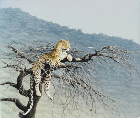 "Samburu Leopard" by Dennis Curry