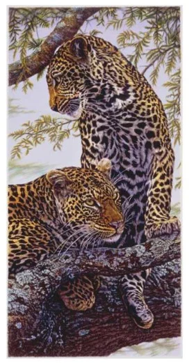"Nature's Patterns" by Dennis Curry
