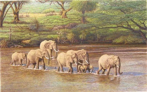 "River Crossing" by Dennis Curry