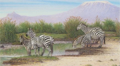 "Waterhole" by Dennis Curry
