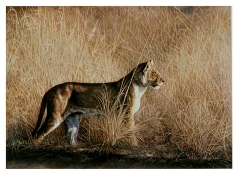 "Morning Hunt" by Dennis Curry