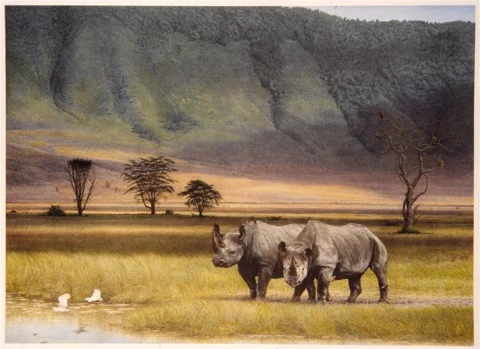 "Companions of Ngorongoro" by Dennis Curry