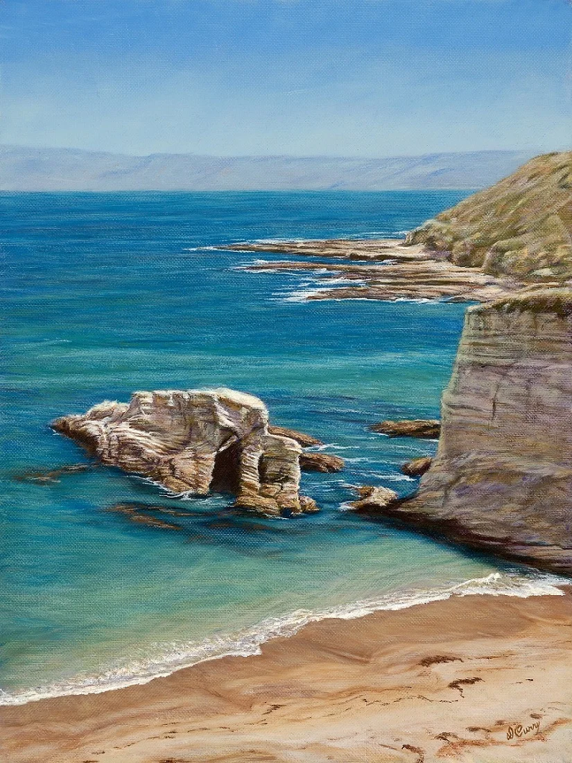 "Color of the Shallows" by Dennis Curry