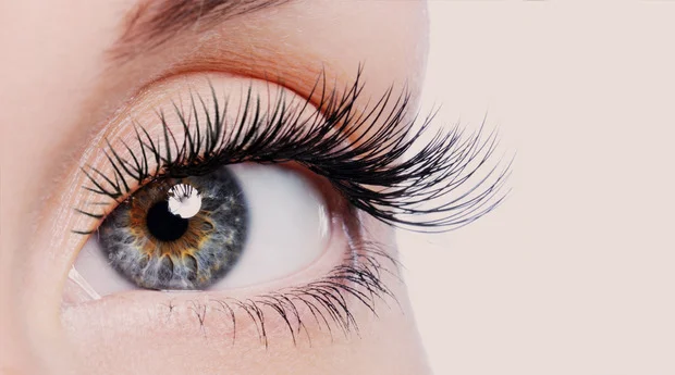 430408-bella-lash.jpg