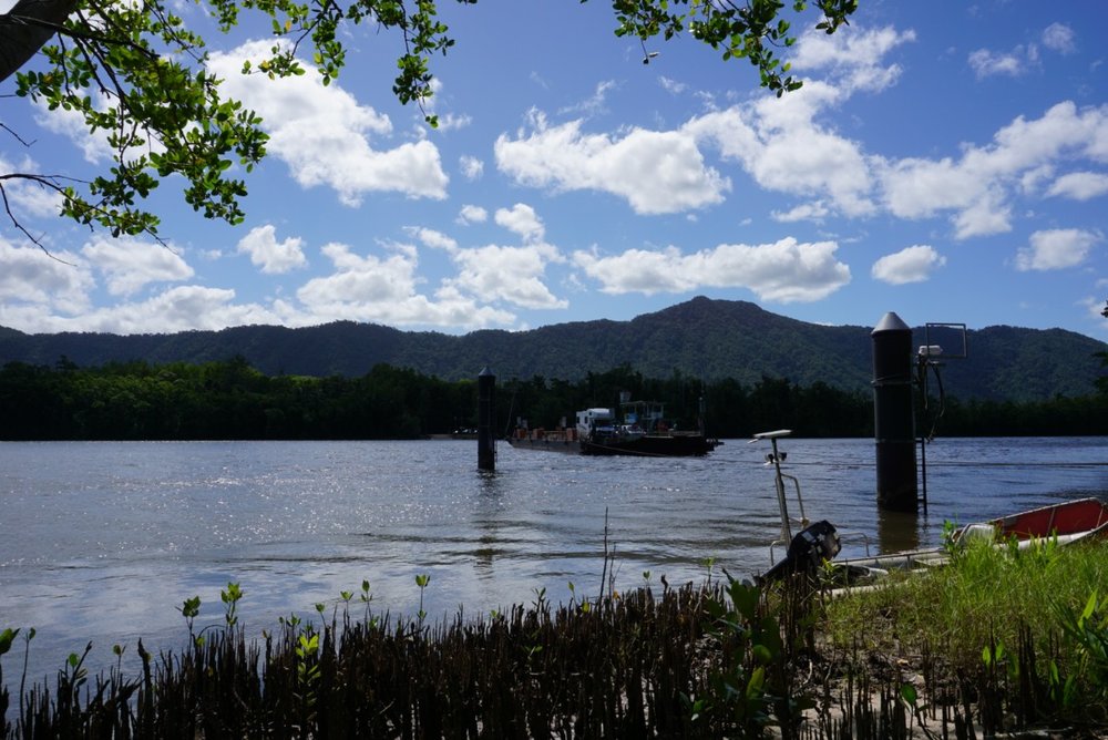 ferrycomingdaintree.jpg