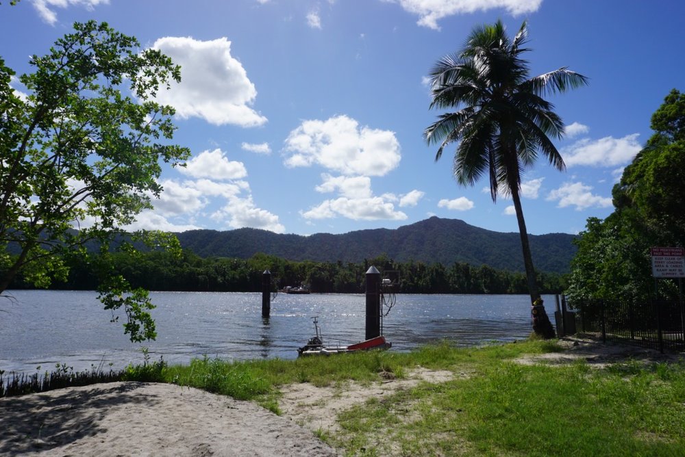 ferrycrossingdaintree.jpg