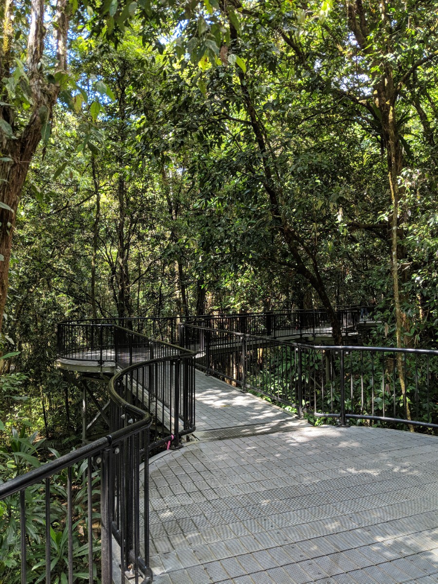 daintreetrail.jpg