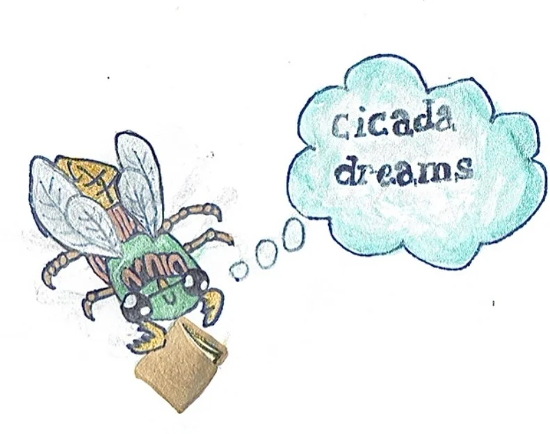 CicadaNewslogo.jpg