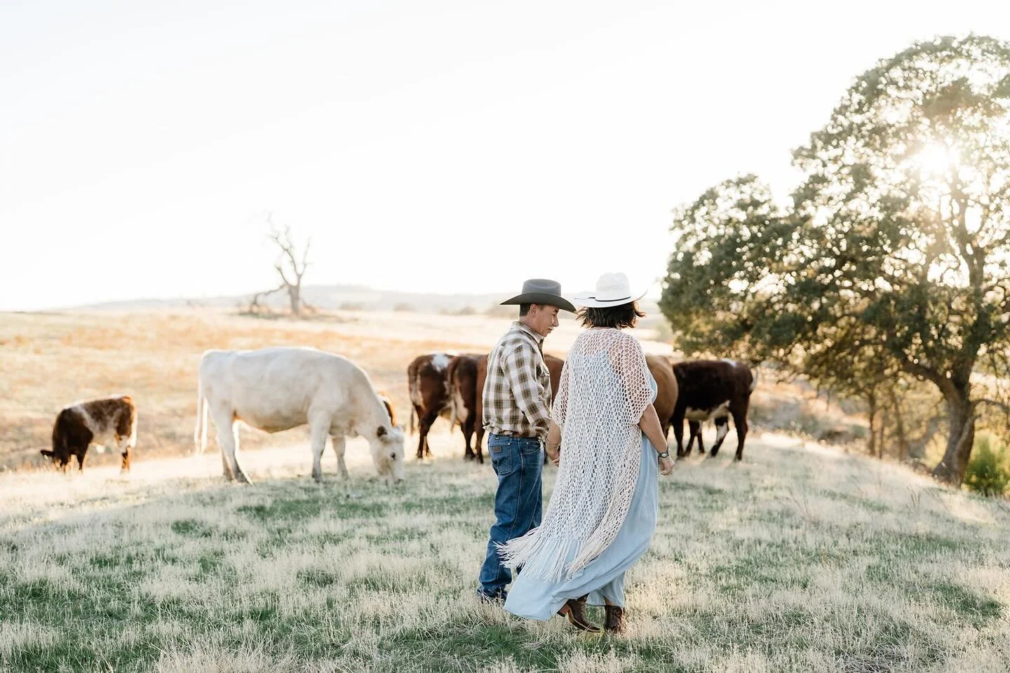 4 discounted full session gift certificates are left! That is 100$ off a regular session. Discounted mini sessions are also available.  Link to buy in highlights.  @anoccasion