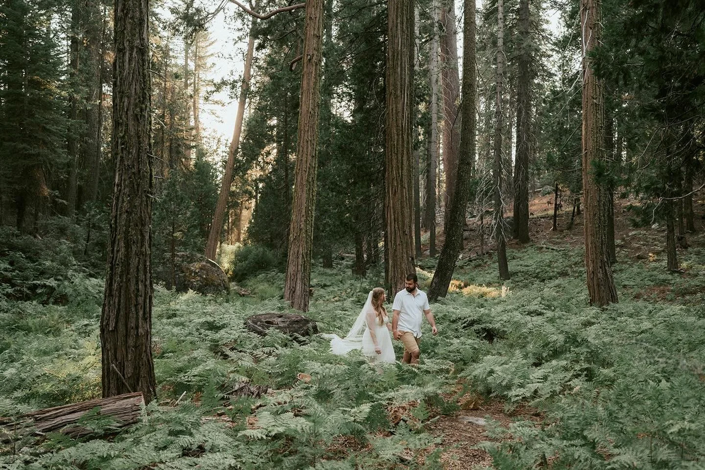 Truth be told, I am not the type for New Year&rsquo;s resolutions. The new year feels like it should be somewhere between winter solstice and the spring equinox.  Meh, maybe it is just me.  All I do know is that I will continue to NOT be great about 