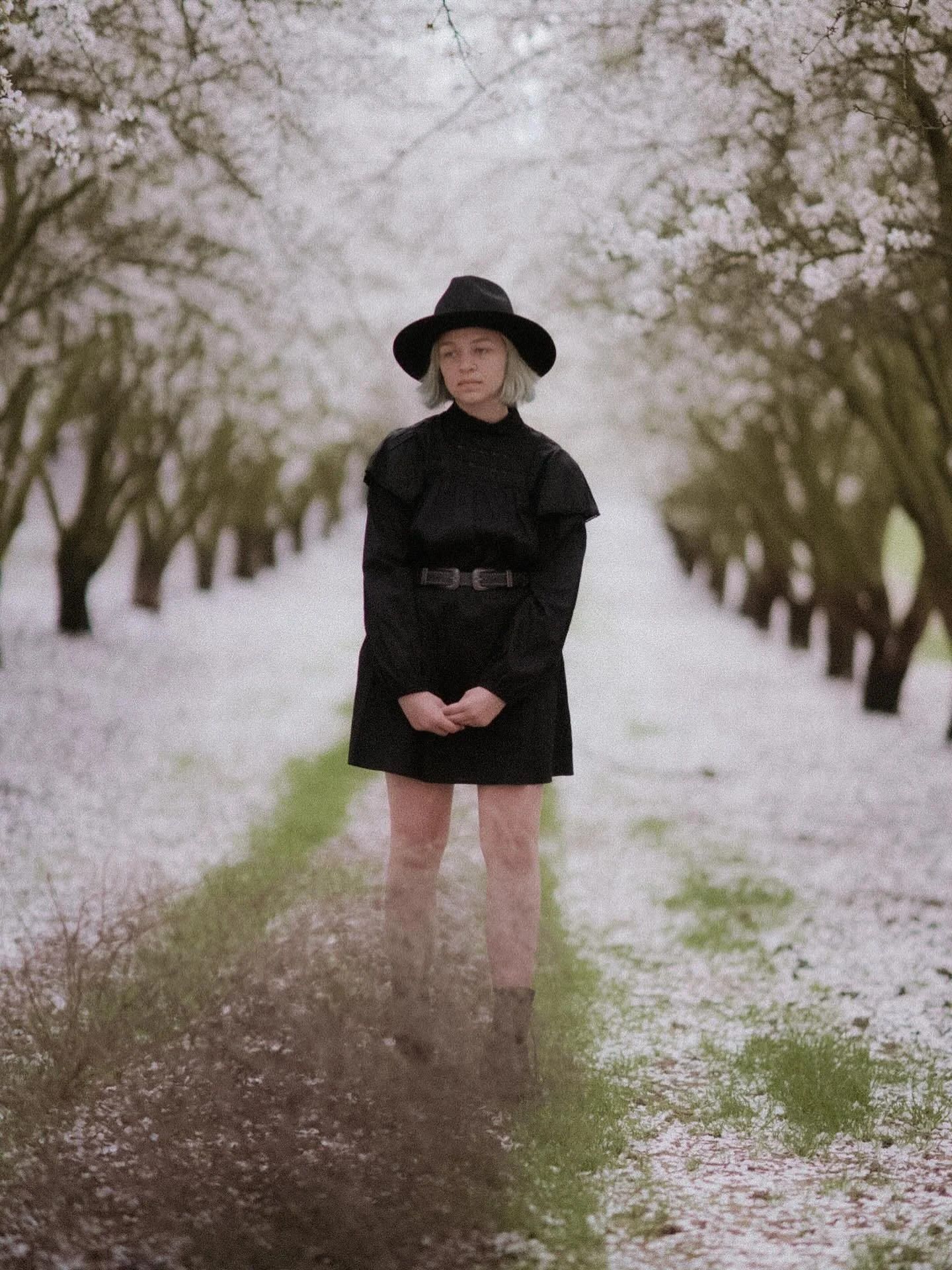 Almond Blossom Sessions March 1st! Please contact via website as I am having issues with IG messages 🖤