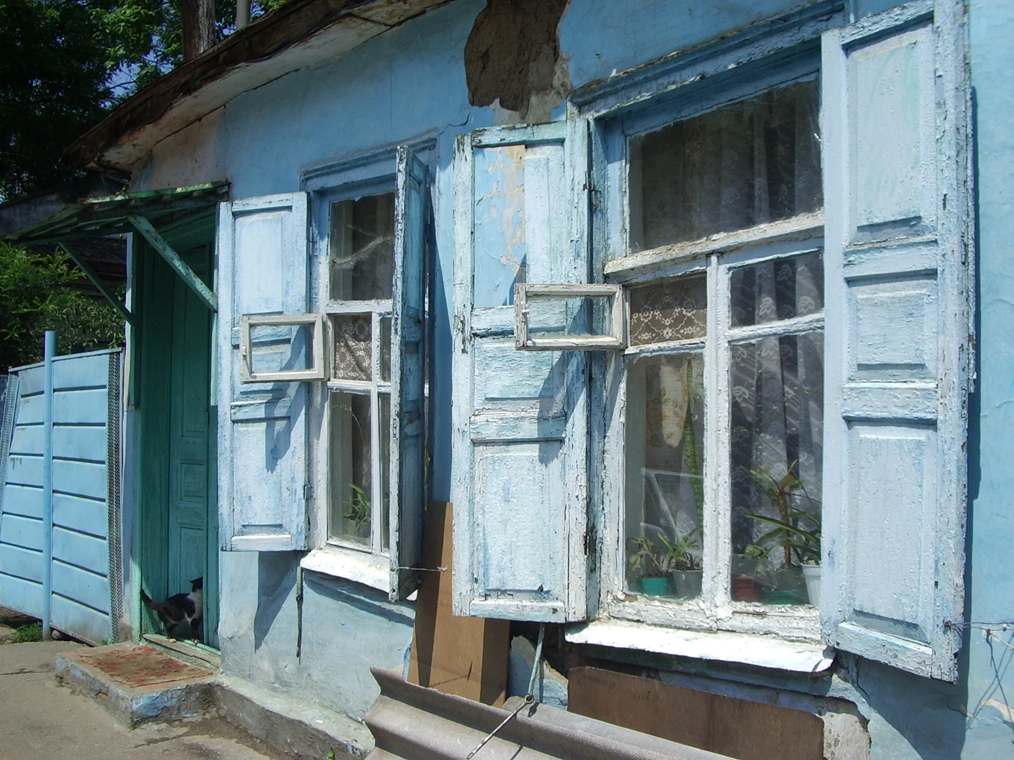 Krasnodar windows and cat.JPG