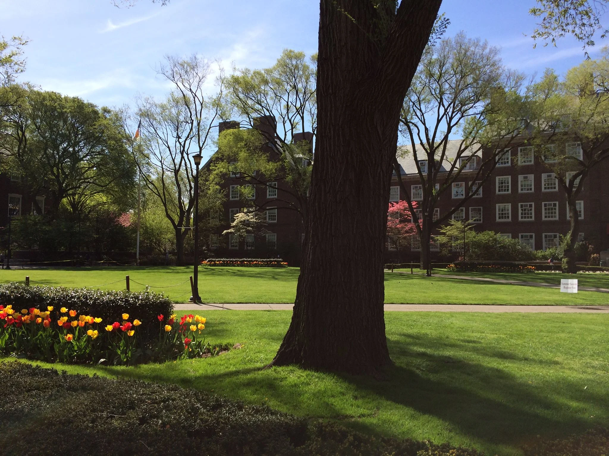 Brooklyn College OKeeffe.jpg