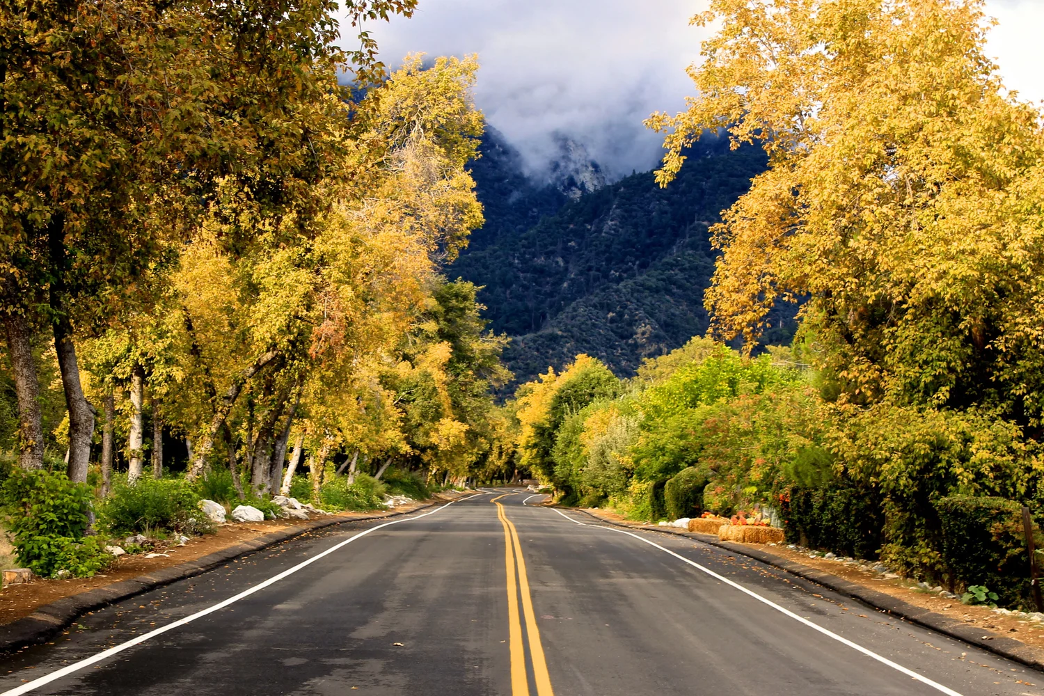 Oak Glen Events Calendar 2025 October