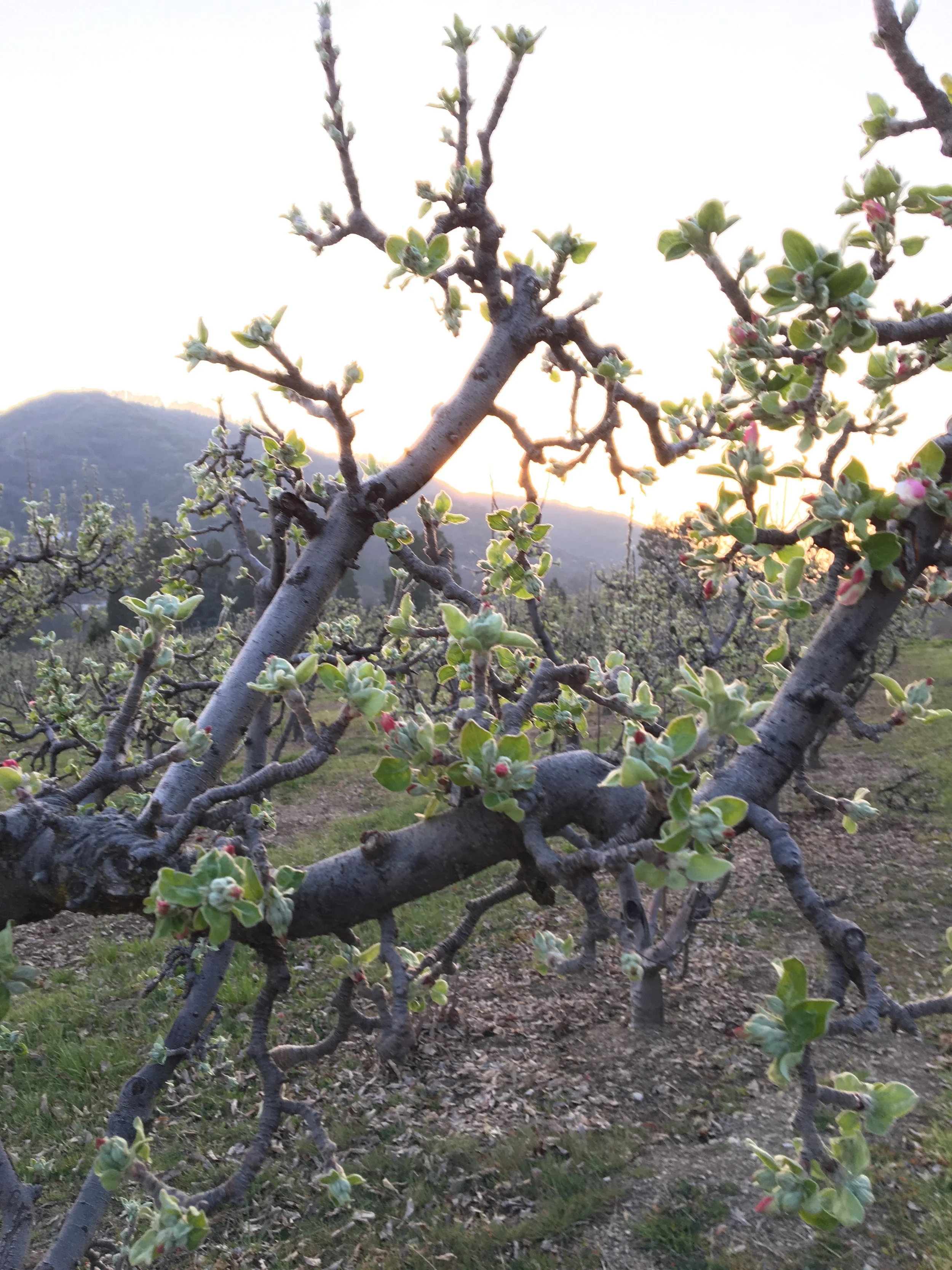 Farmers Country Dinner and Dance