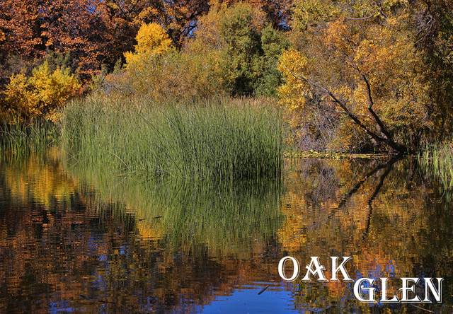 OAK GLEN15.jpeg
