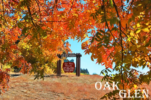 OAK GLEN21.jpeg