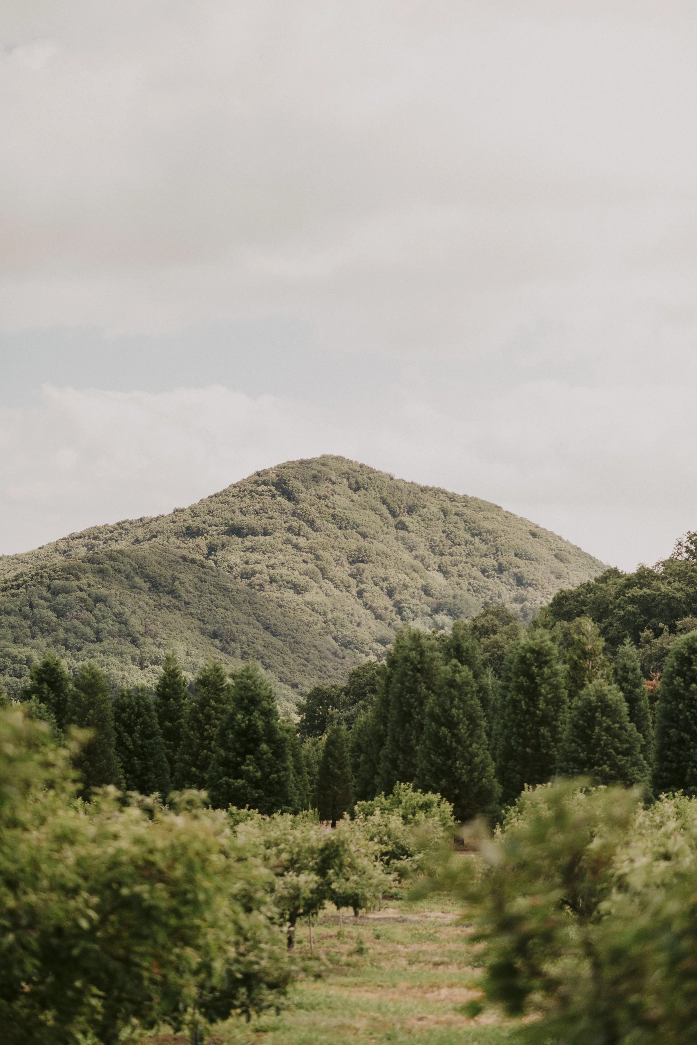 Dan_And_Tyler_Photography-19-Copy1.jpg