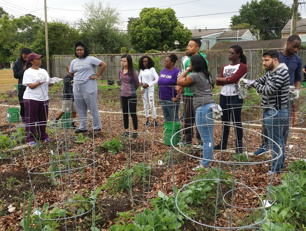 Blodgett Urban Gardens