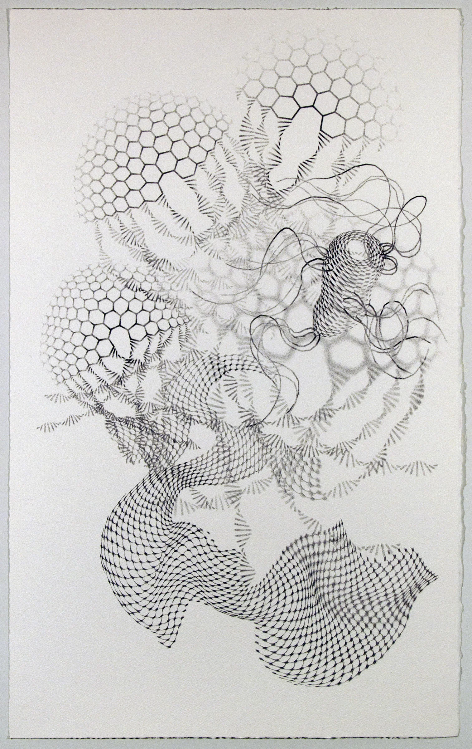 Locomotion