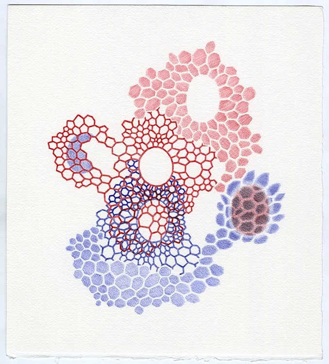 Untitled (2016-10-002)