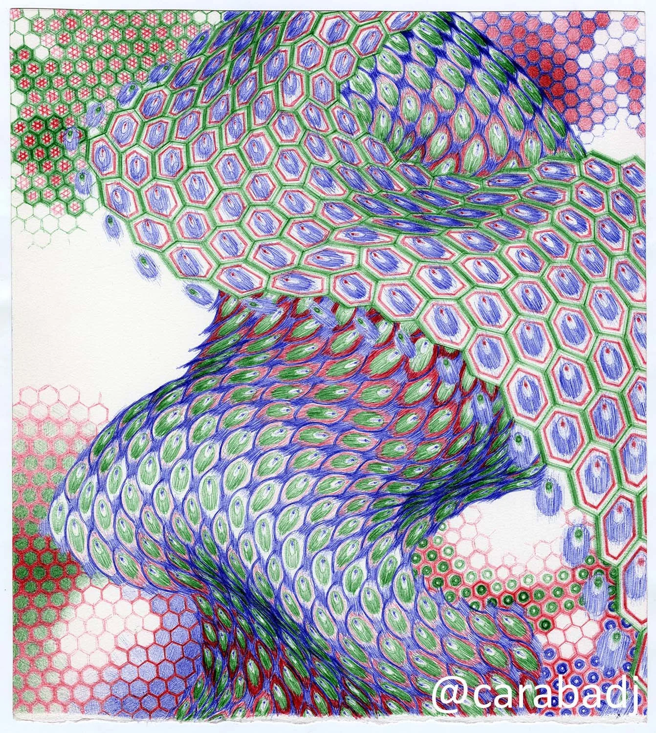 Untitled (2026-06-001)