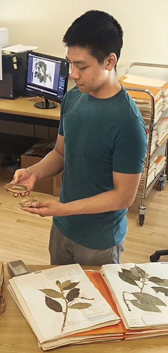Daniel Le. 1.jpg