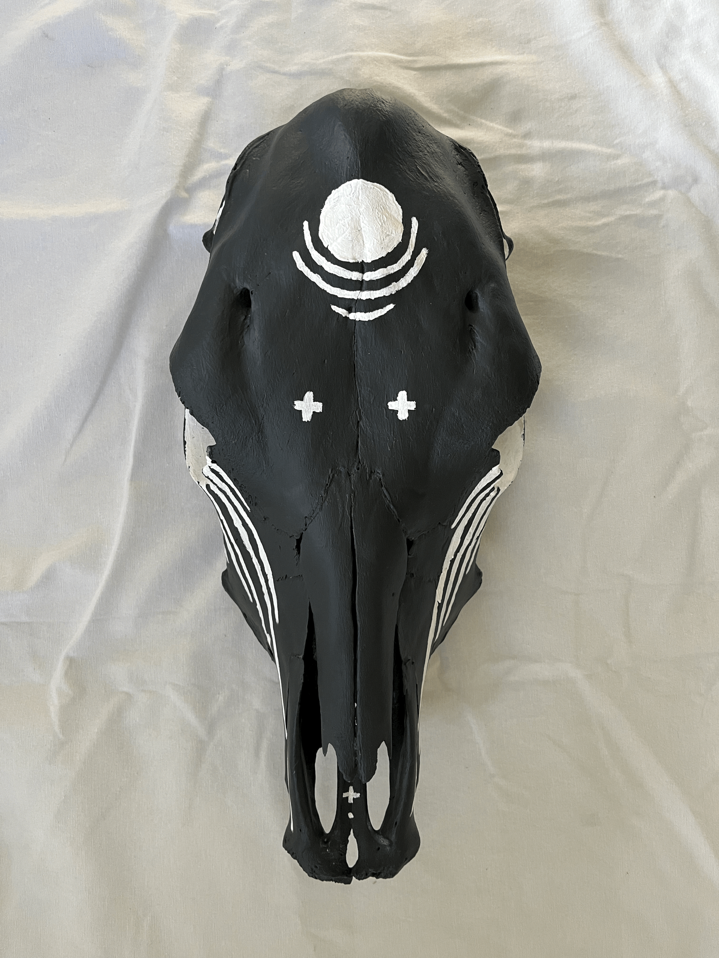 ''We all gonna get what we deserve'' Painted Cow Skull