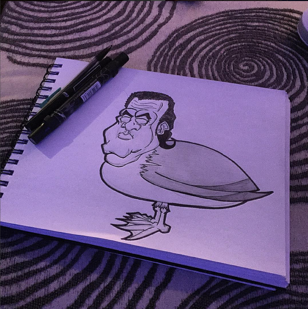 steven-seagull.png