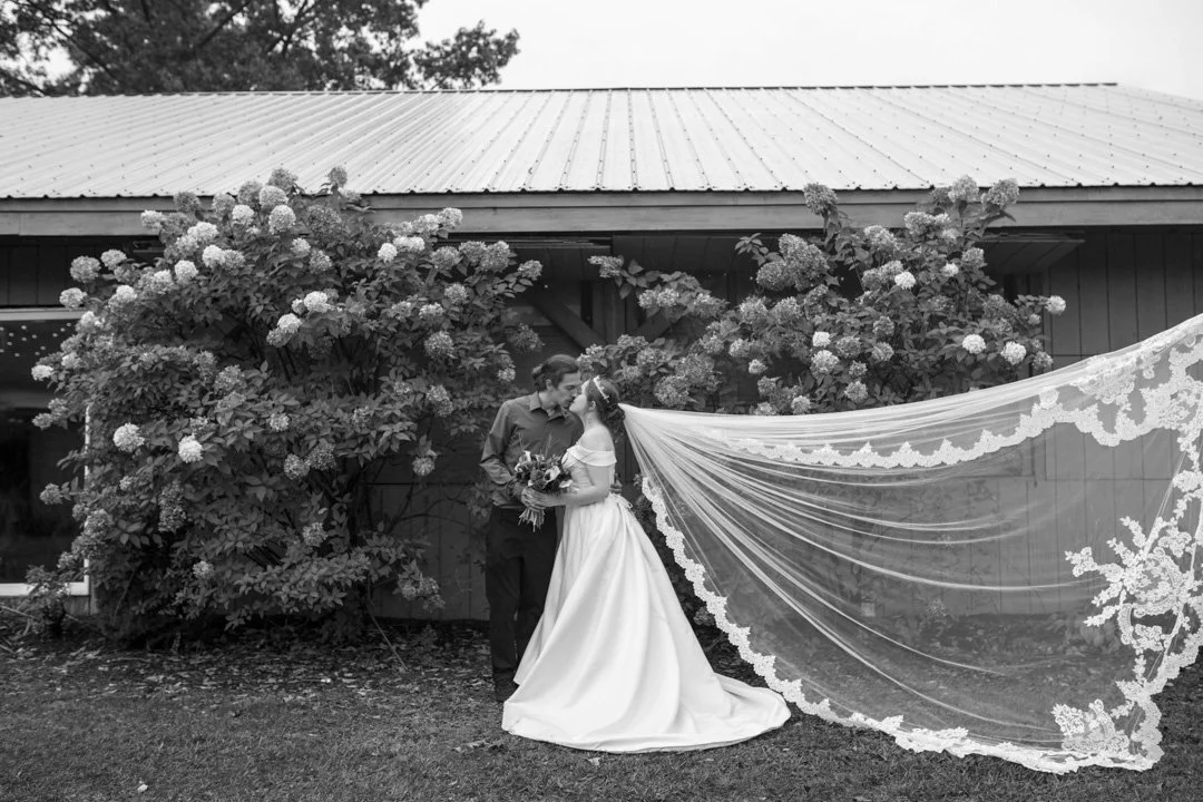 cameron&steffwedding_176.jpg