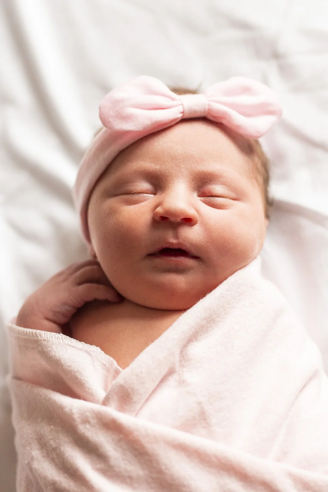 bellarose_012.jpg