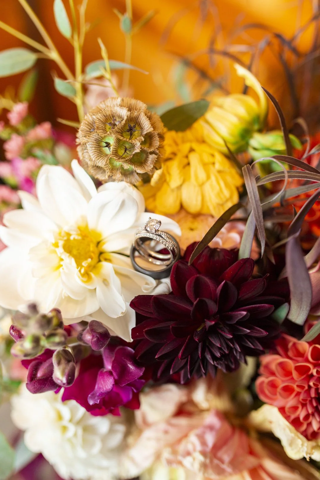 b&d.elopement_027.jpg
