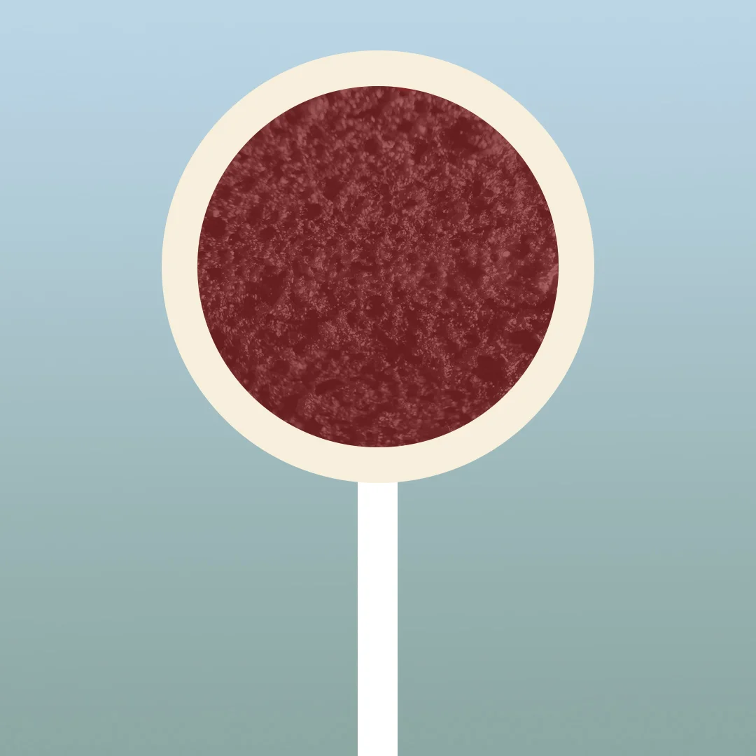 $1.00