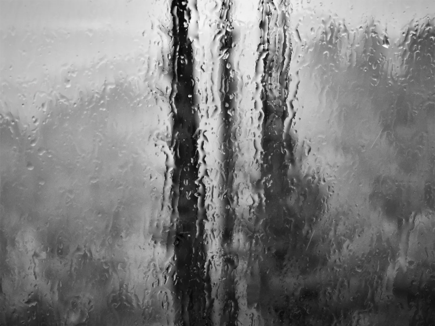 Stormy Winter Rain, Quail Ridge Road, California #2