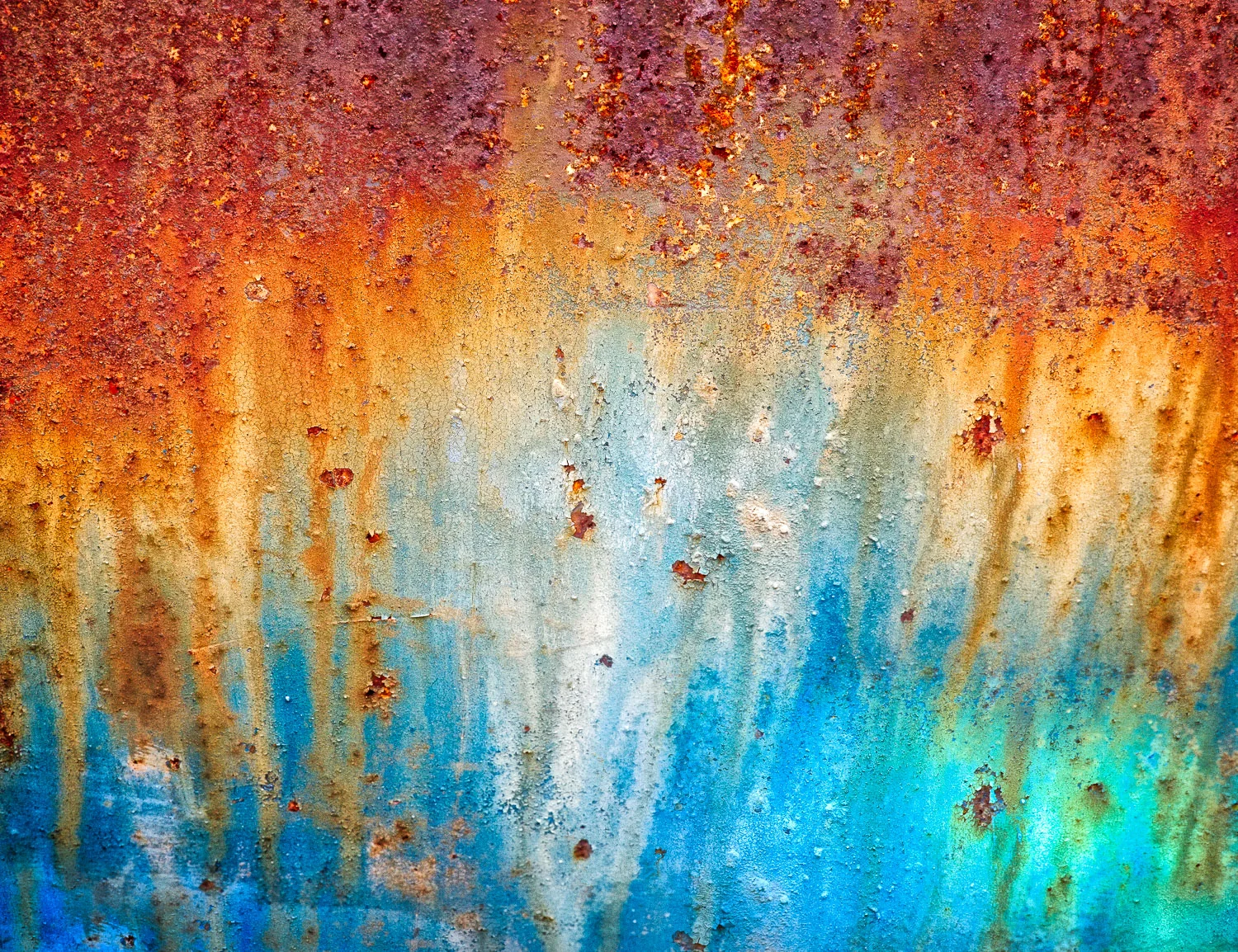 Metamorphosis #13